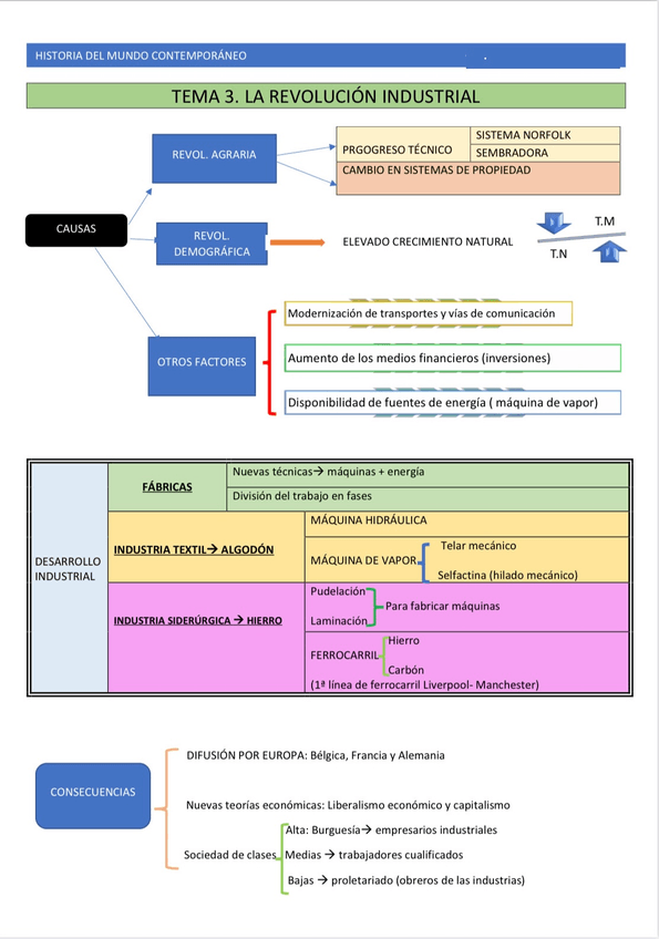 Miniatura del documento mapa-conceptual-rev.-industrial.jpeg