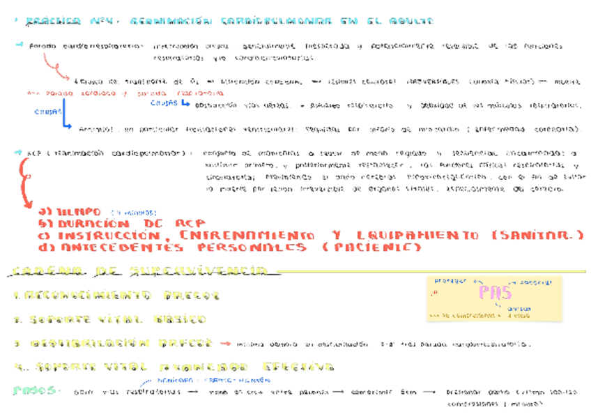 Miniatura del documento PRACTICA-4.pdf