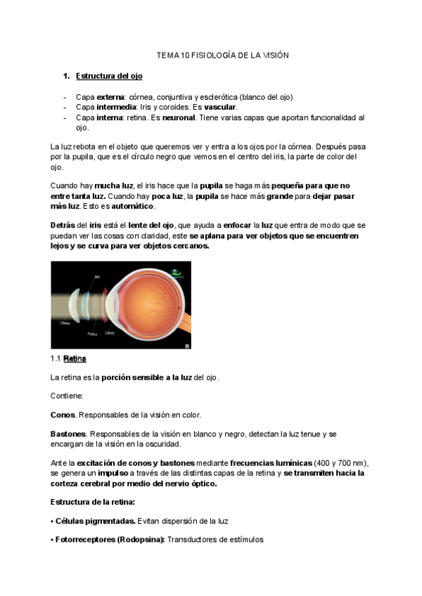 Miniatura del documento Tema-10-fisiologia-1.pdf