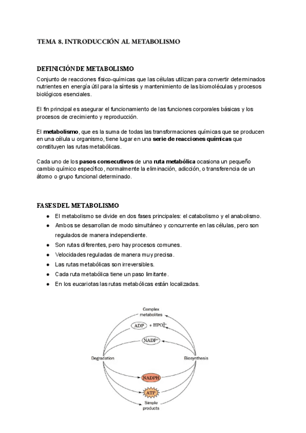 Miniatura del documento T8-introduccion-al-metabolismo.pdf