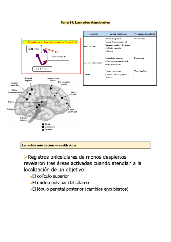 Miniatura del documento Tema-11.-PyA.pdf