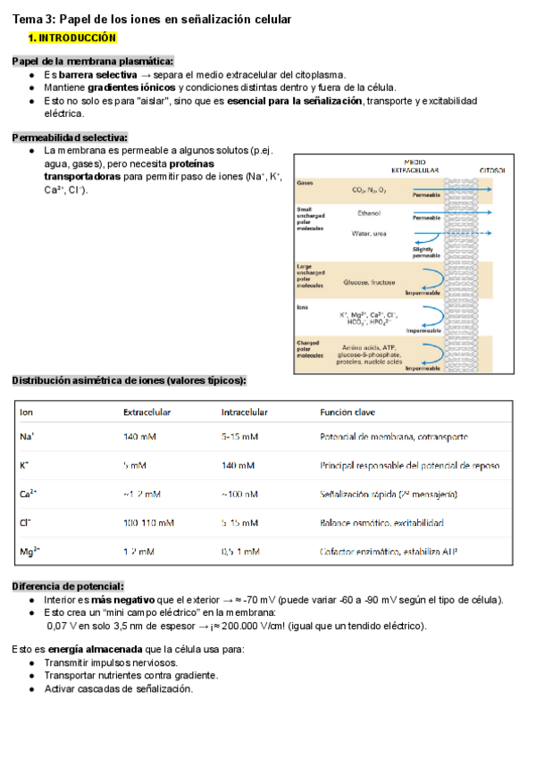 Miniatura del documento TEMA-3-REGU-Papel-de-los-iones-en-senalizacion-celular.pdf