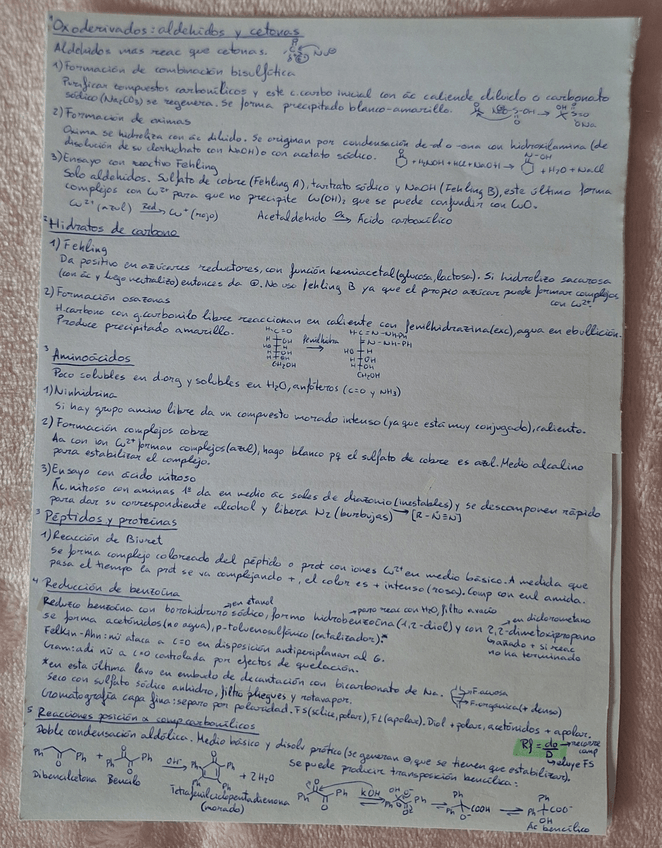 Miniatura del documento 20251125141902.jpg