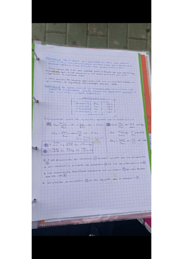 Miniatura del documento IMG2462.pdf