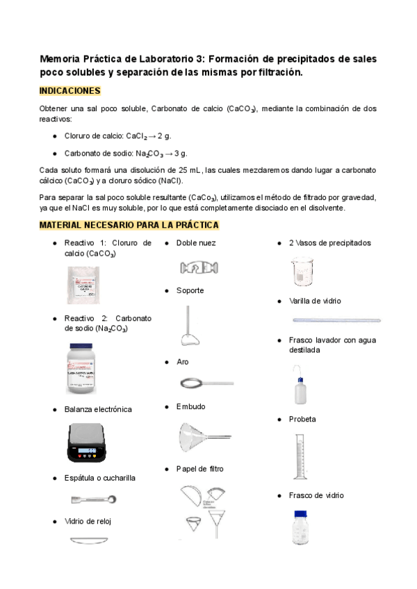 Miniatura del documento Memoria-Practica-de-Laboratorio-3.pdf