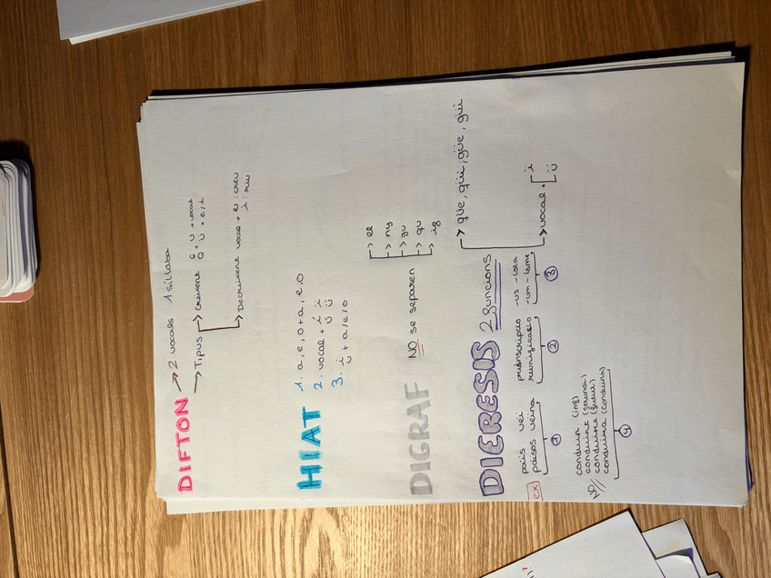 Miniatura del documento IMG4427.jpeg