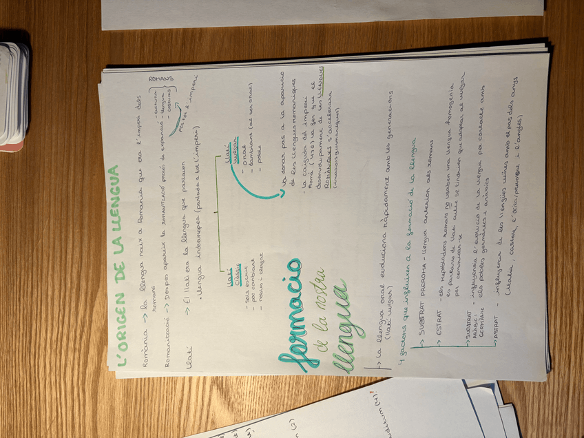 Miniatura del documento IMG4428.jpeg