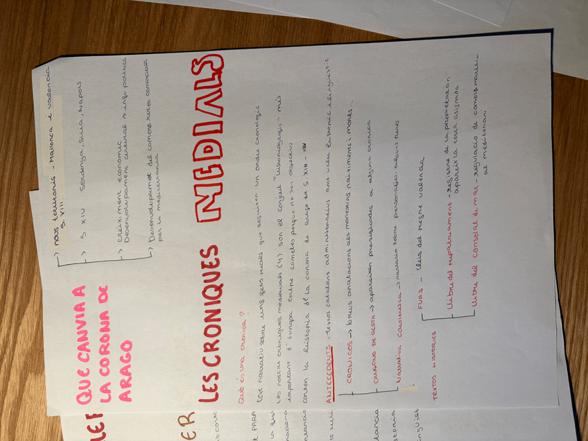 Miniatura del documento IMG4433.jpeg