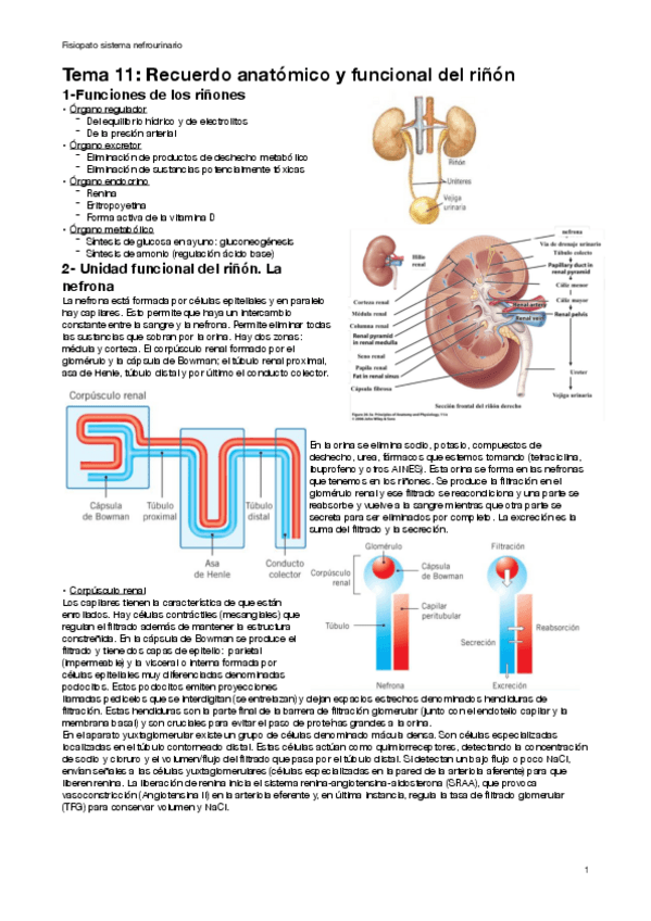 Miniatura del documento t11.pdf