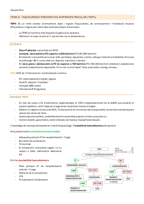 Miniatura del documento UT3-TEMA-8.-TSPV.pdf