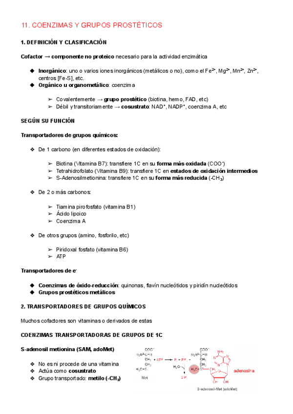 Miniatura del documento TEMA-11.-COENZIMAS-Y-GRUPOS-PROSTETICOS.pdf