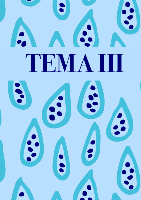 Miniatura del documento Tema-3.-Apunts-2.pdf