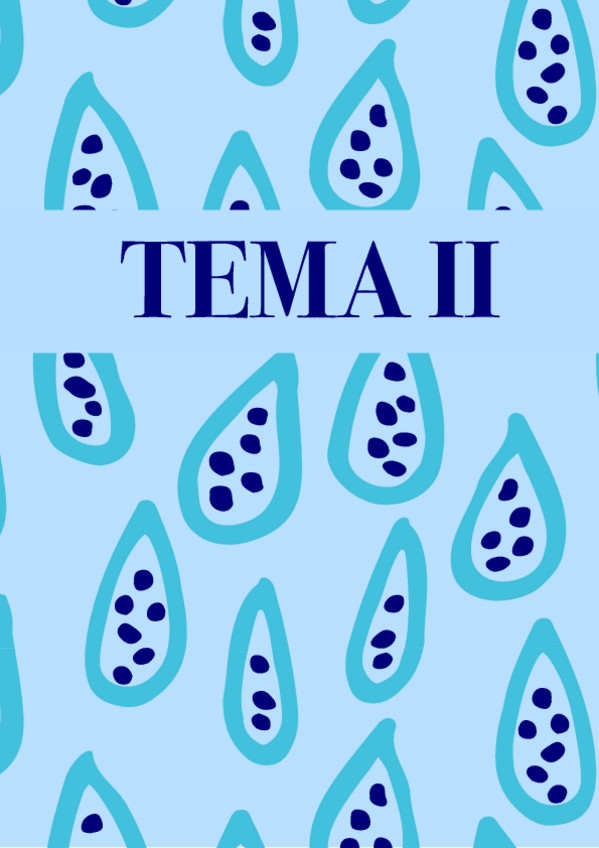 Miniatura del documento Tema-2.-Apunts-3.pdf