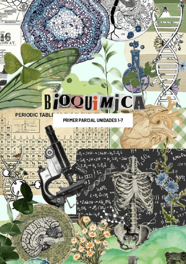 Miniatura del documento APUNTES-PRIMER-PARCIAL-DE-BIOQUIMICA.pdf