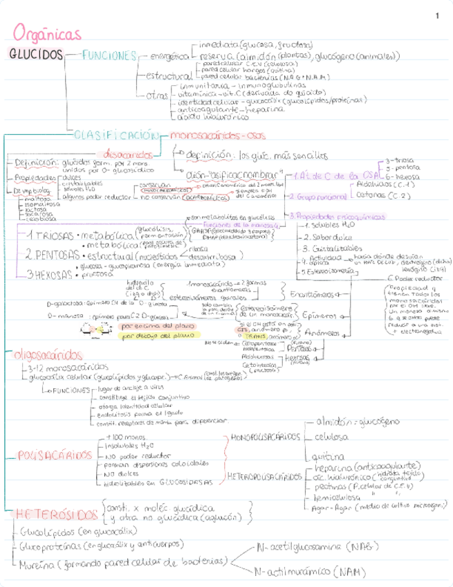 Miniatura del documento Biomoleculas-organicas.pdf