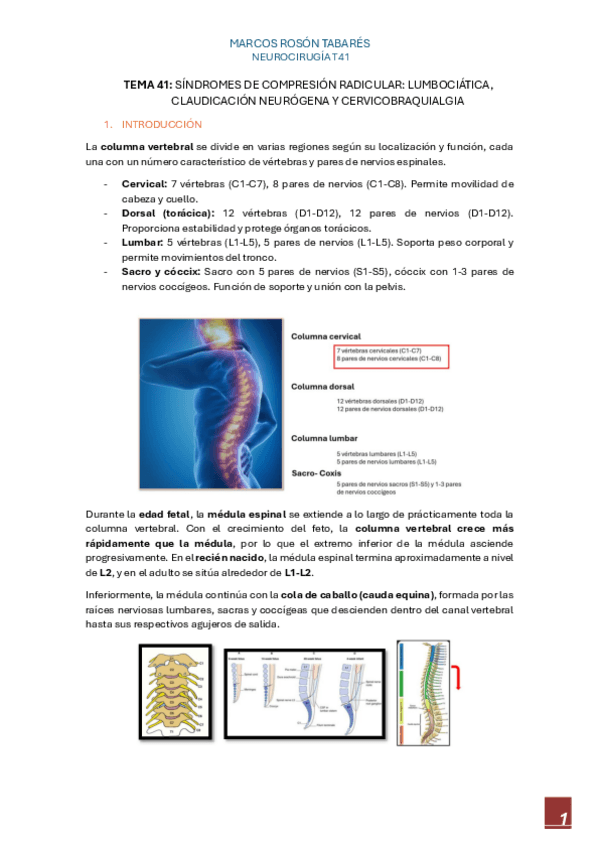 Miniatura del documento T41.-Sindromes-de-compresion-radicular.-Lumbociatica-claudicacion-neurogena-y-cervicobraquialgia.pdf