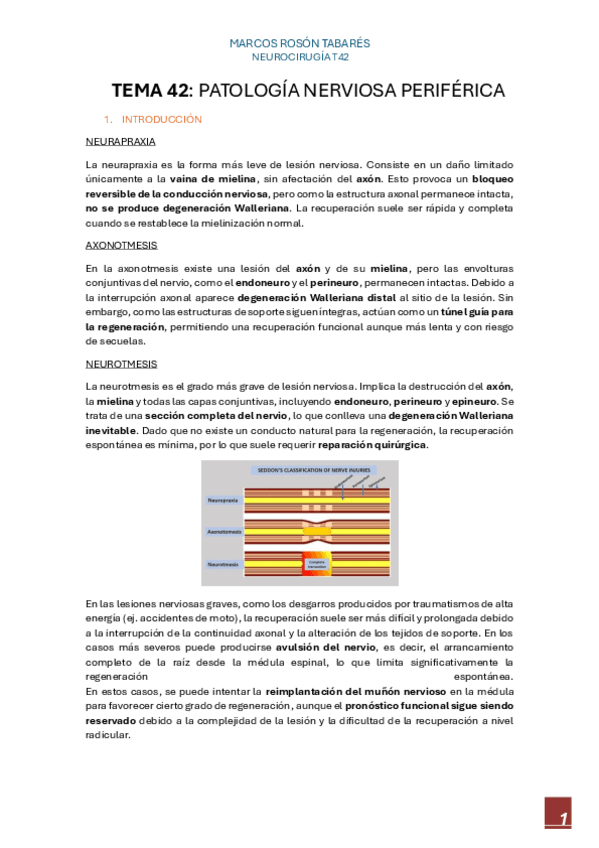 Miniatura del documento T42.-Patologia-del-nervio-periferico.pdf