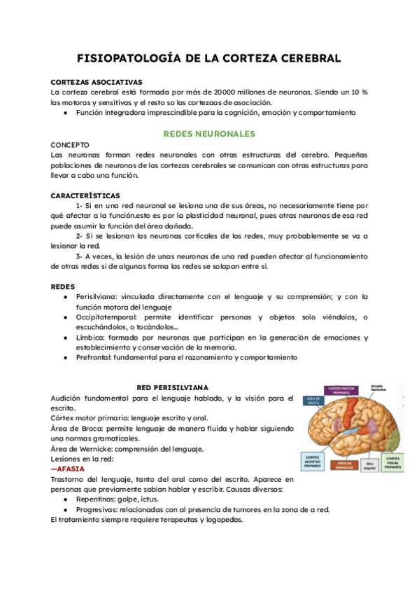 Miniatura del documento FisiologiaCorteza.pdf.pdf