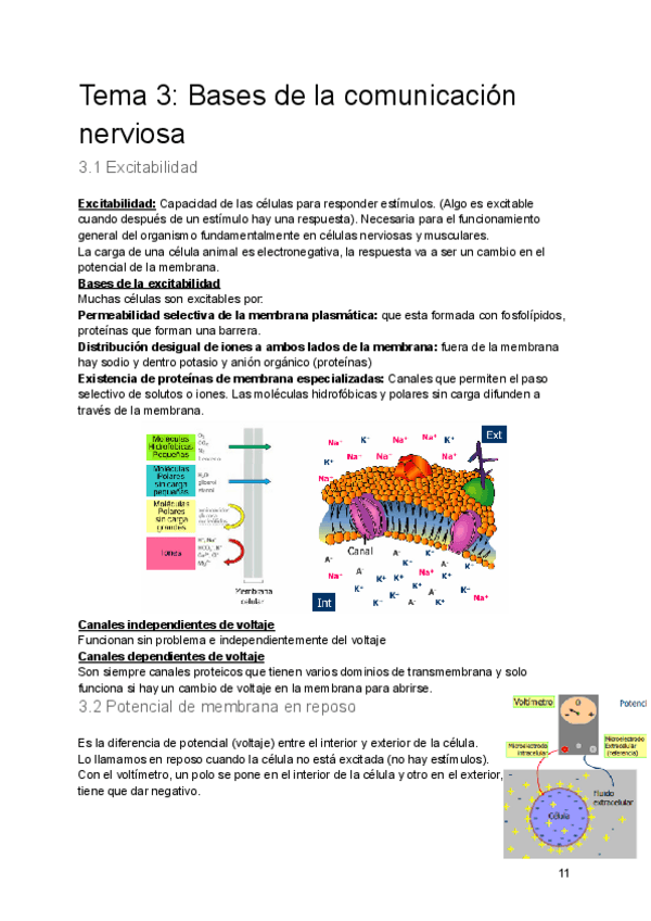 Miniatura del documento Tema-3-Bases-de-la-comunicacion-nerviosa.pdf