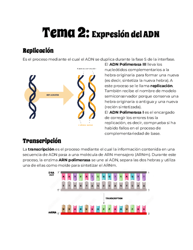 Miniatura del documento Expresion-del-ADN.pdf