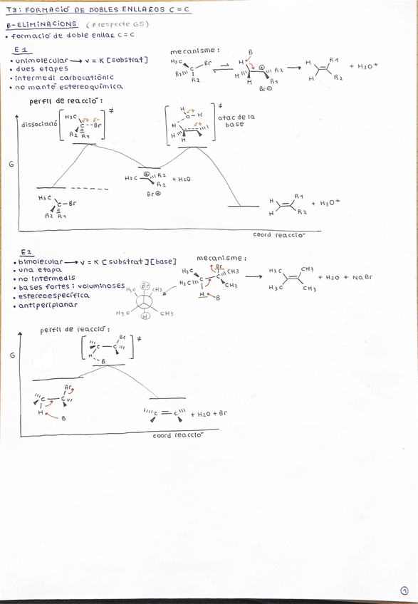 Miniatura del documento MS-apunts-T3.pdf