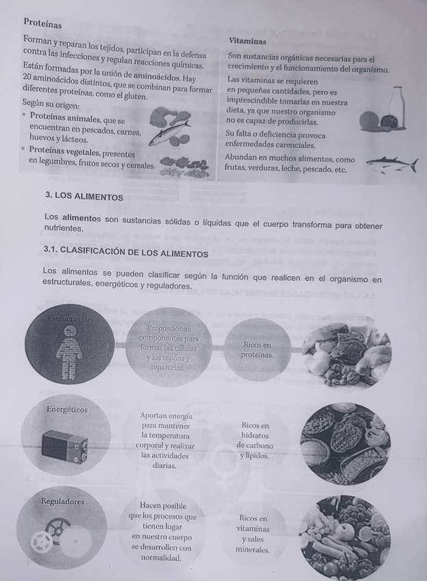 Miniatura del documento IMG2676.jpeg