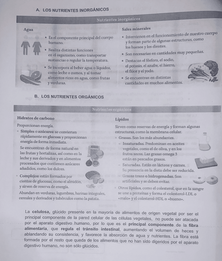 Miniatura del documento IMG2677.jpeg