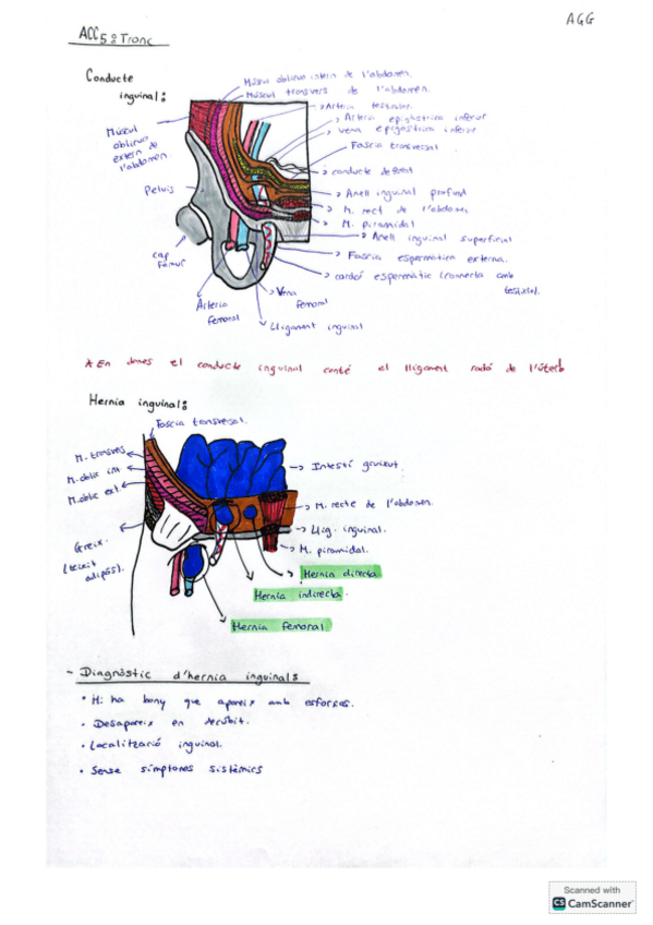 Miniatura del documento Resum-ACC5.pdf