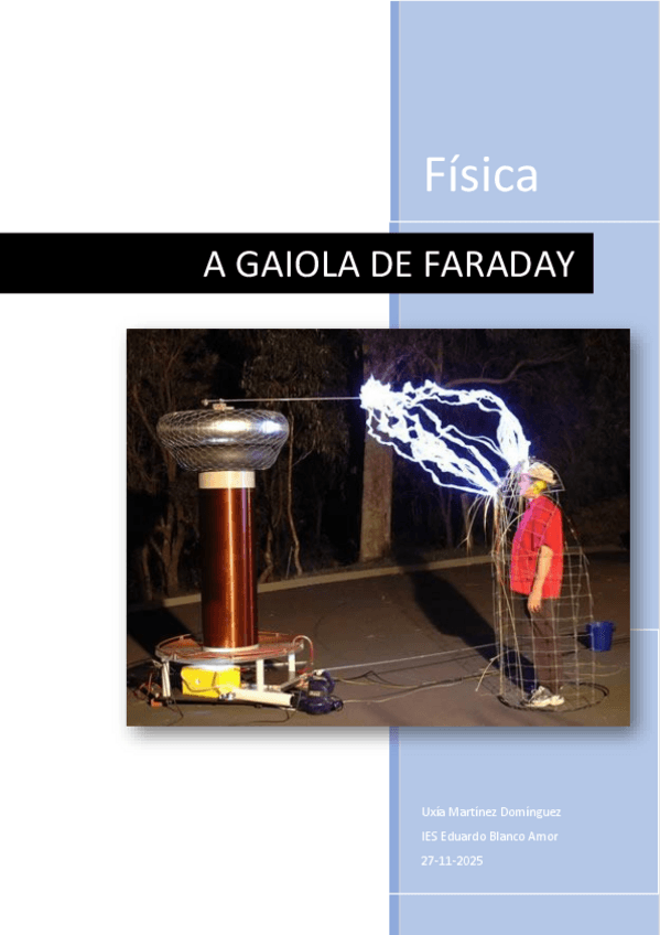 Miniatura del documento jaulafaraday.pdf
