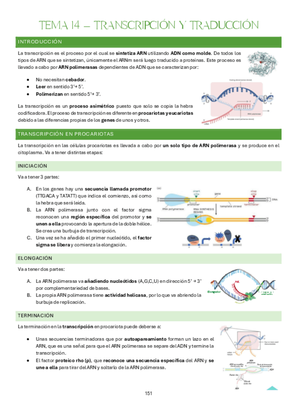 Miniatura del documento Tema-14-Bases-Organicas-e-Inorganicas-de-la-Vida.pdf