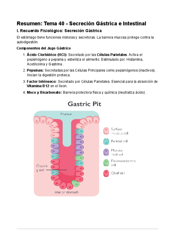 Miniatura del documento tema-40.pdf