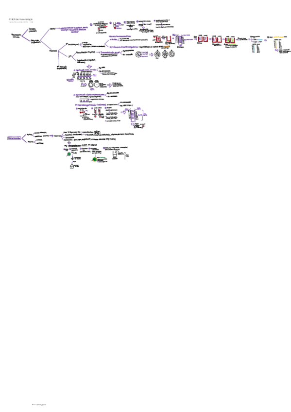 Miniatura del documento Practicas-inmunologia.pdf
