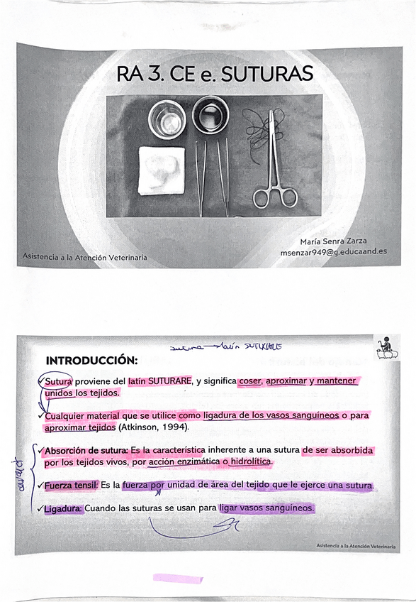 Miniatura del documento AAV-TEMA-3-Suturas.pdf
