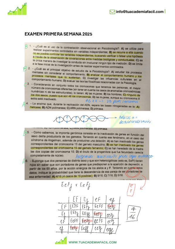 Miniatura del documento 2025-PRIMERA-SEMANA.pdf