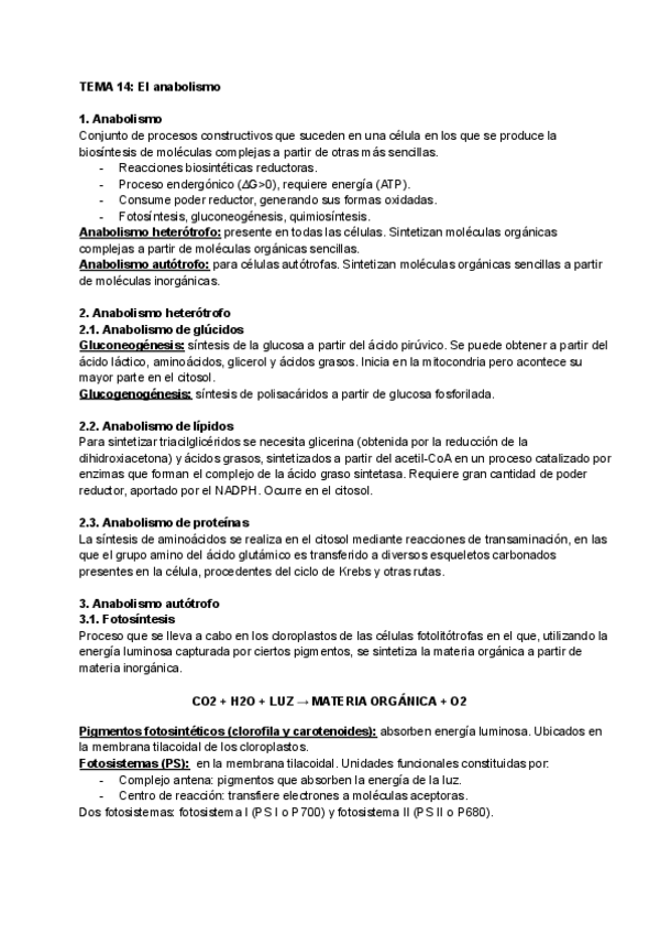 Miniatura del documento TEMA-14-El-anabolismo.pdf