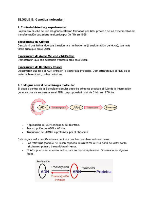 Miniatura del documento TEMA-15-Genetica-molecular-I.pdf