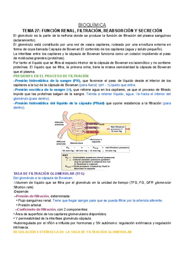 Miniatura del documento BQ-T27.pdf.pdf