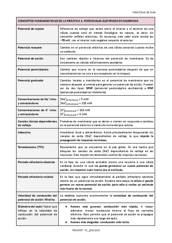Miniatura del documento Practicas-FANI.-Conceptos-fundamentales.pdf