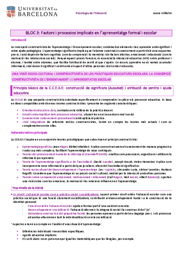 Miniatura del documento BLOC-III-Factors-i-processos-implicats-en-laprenentatge-formal-i-escolar.pdf