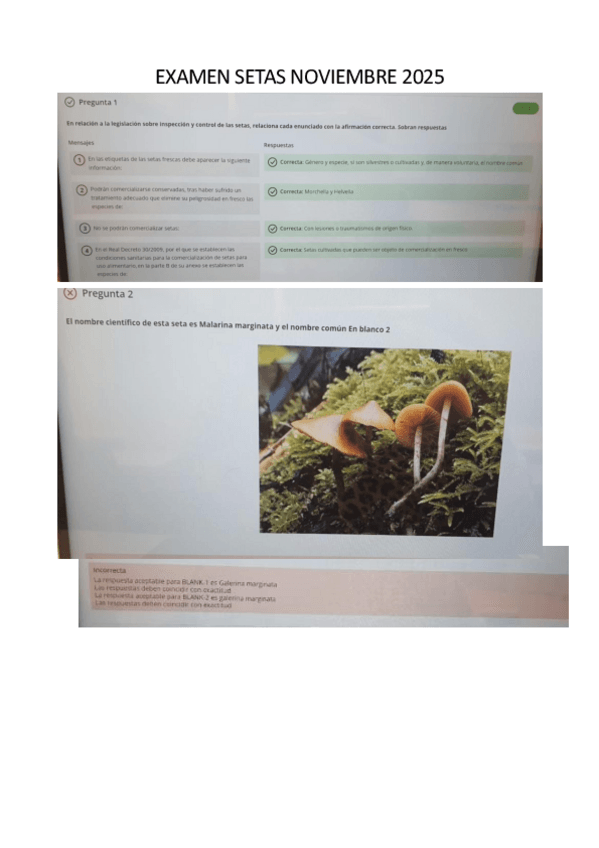 Miniatura del documento EXAMEN-SETAS-NOVIEMBRE-2025.pdf