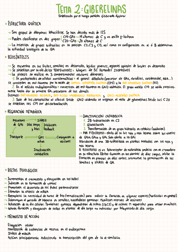 Miniatura del documento TEMA-15-GIBERELINAS.pdf.pdf