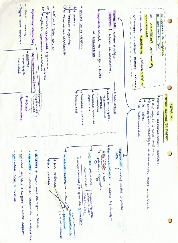 Miniatura del documento Esquema TEMA-4-PSICOLOGIA-DE-LA-MOTIVACION.pdf.pdf.pdf