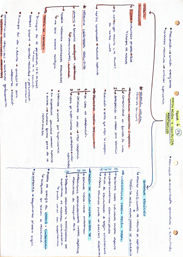 Miniatura del documento Esquema TEMA-6-PSICOLOGIA-DE-LA-MOTIVACION.pdf.pdf