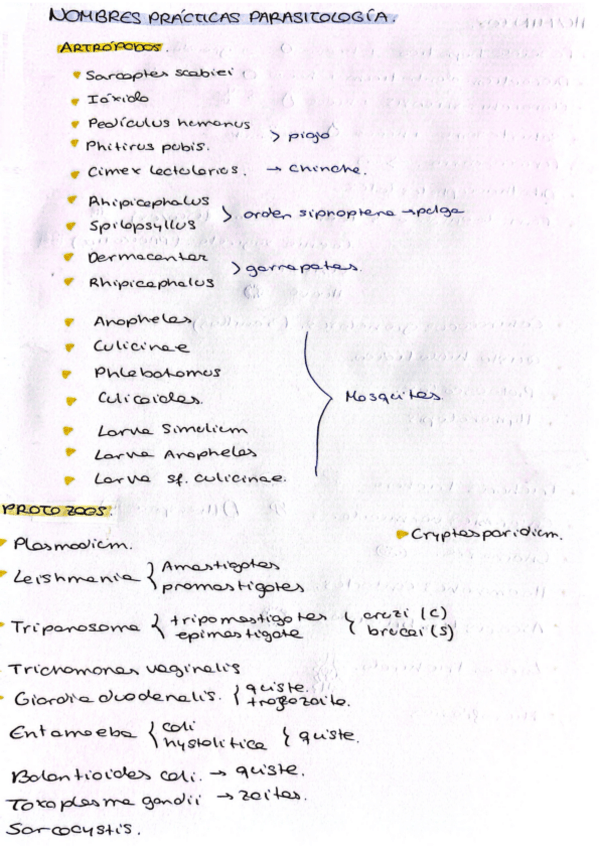 Miniatura del documento practicas-parasitologia-resumen.pdf