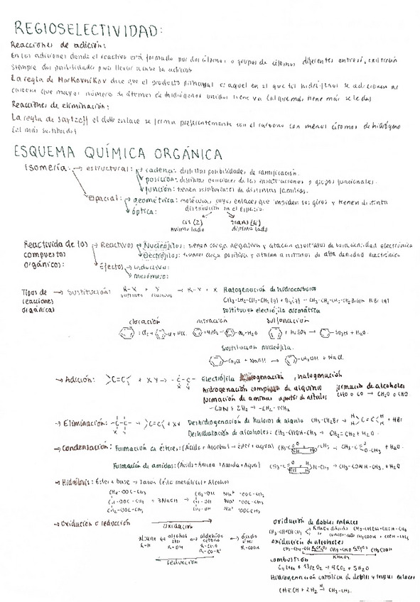 Miniatura del documento 1.Esquema-Quimica-Organica.pdf