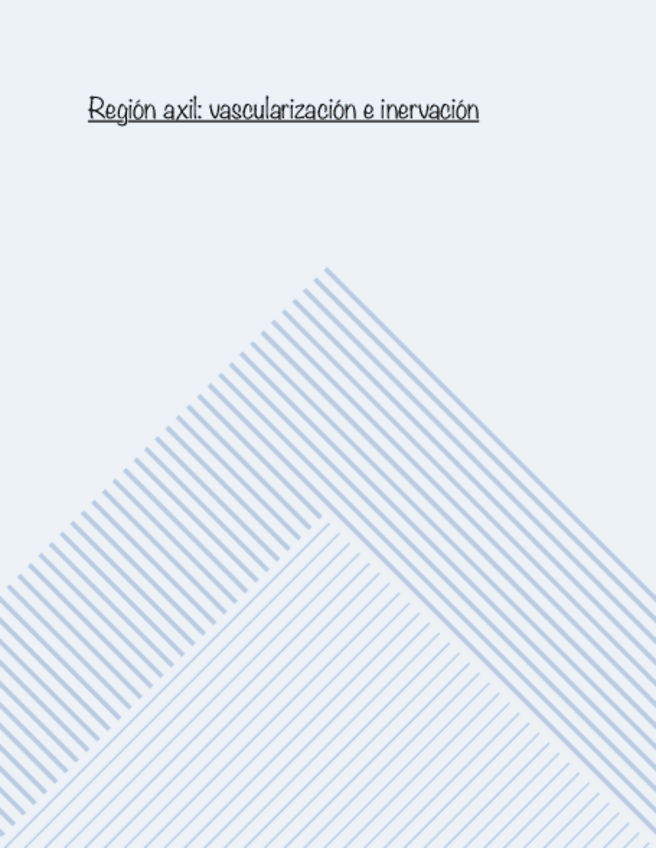 Miniatura del documento Vascularizacion-y-inervacion-anat-1.pdf