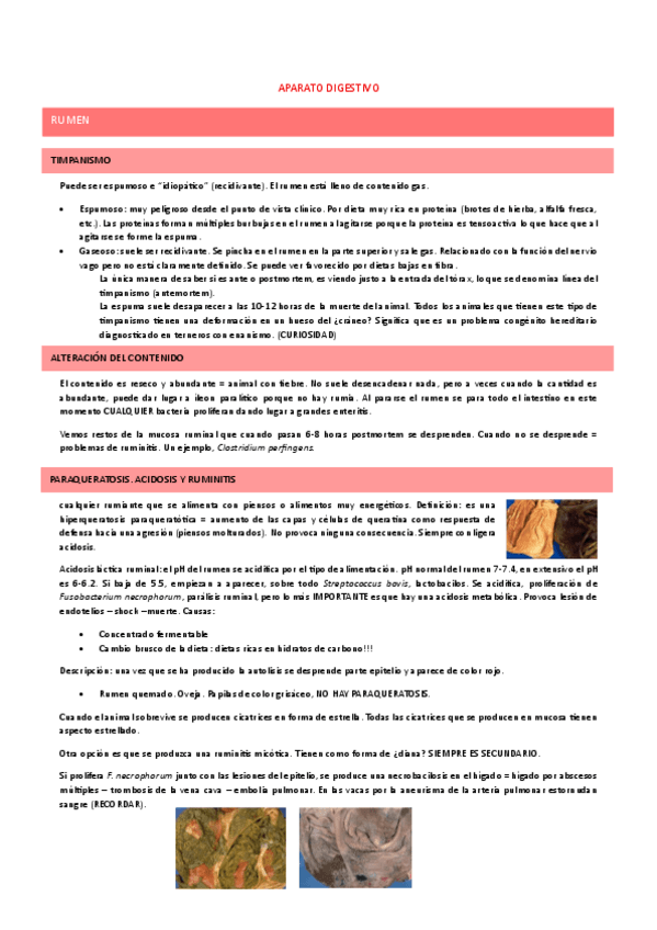 Miniatura del documento Digestivo-parte-marin.pdf