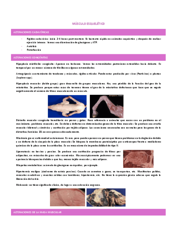 Miniatura del documento aparato-locomotor.pdf
