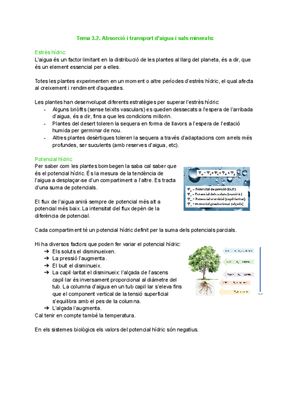 Miniatura del documento Tema-3.2.-Absorcio-i-transport-daigua-i-sals-minerals.pdf