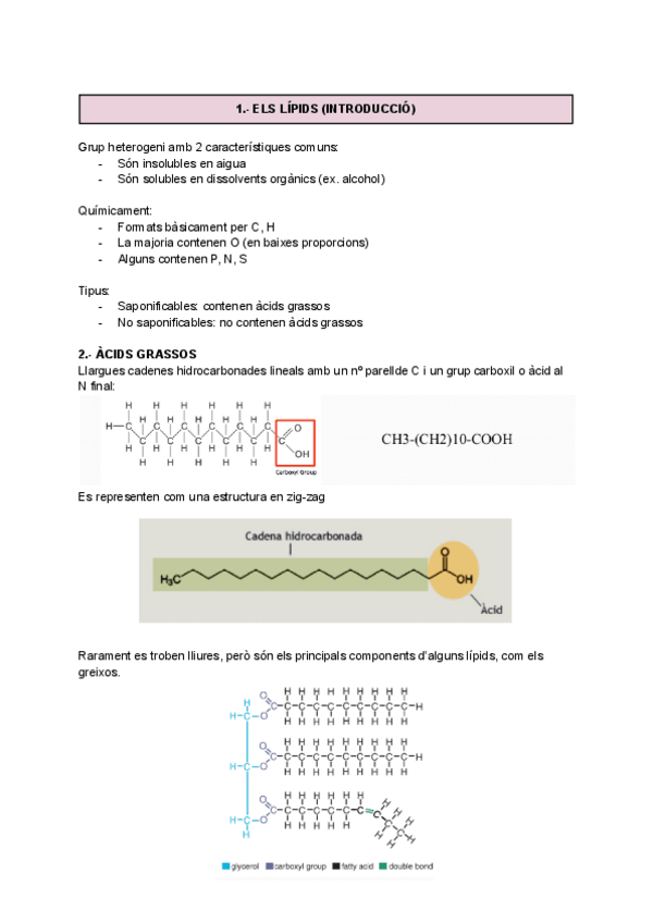 Miniatura del documento LIPIDS.pdf